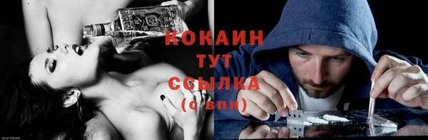гашик Остров