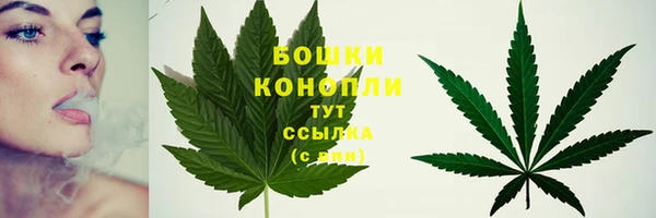 эйфоретик Верея