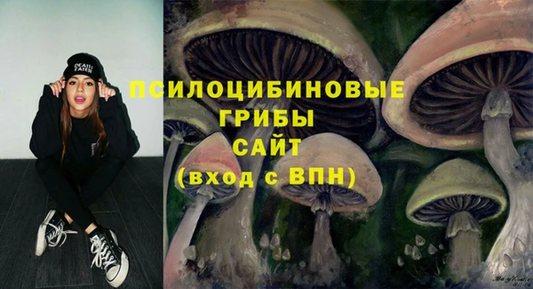 мяу мяу мука Верхний Тагил